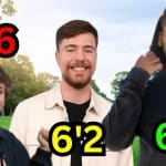 exploring heights a comprehensive guide on how tall are mrbeast and his friends